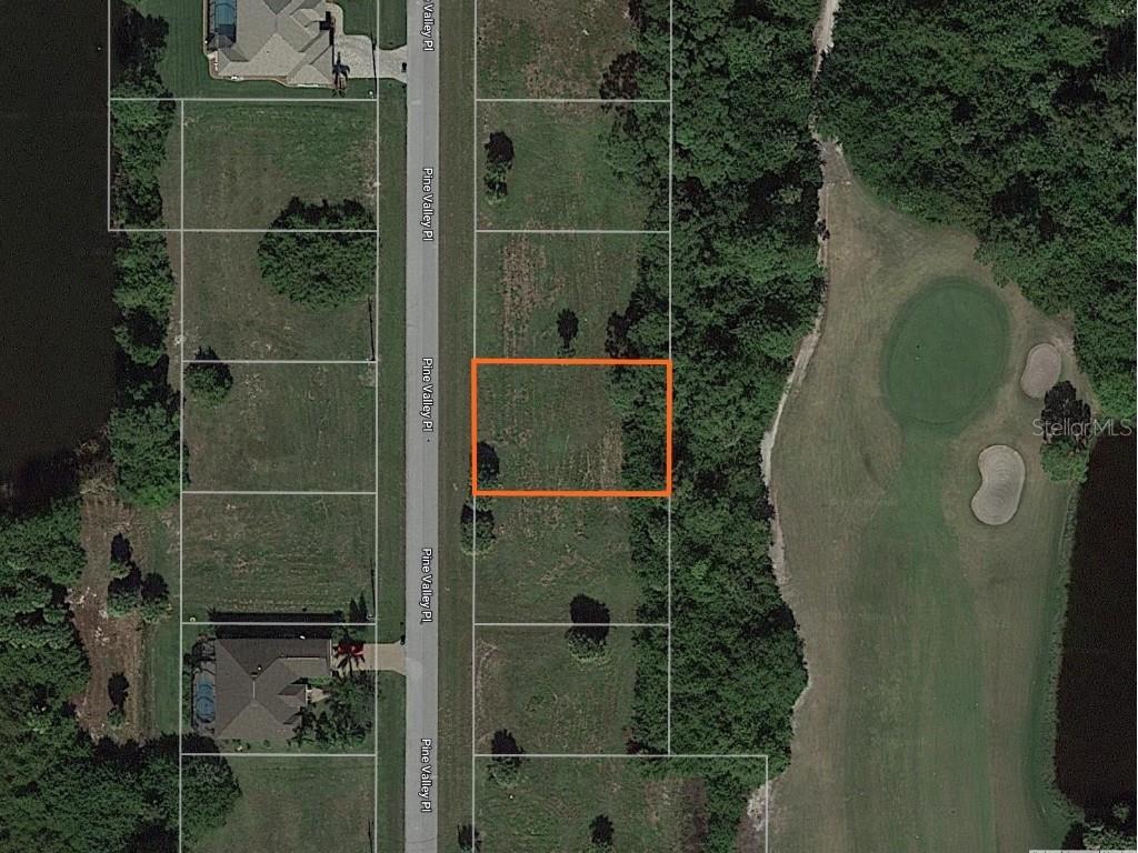 45 Pine Valley Place Rotonda West FL 33947 D6127957 image1