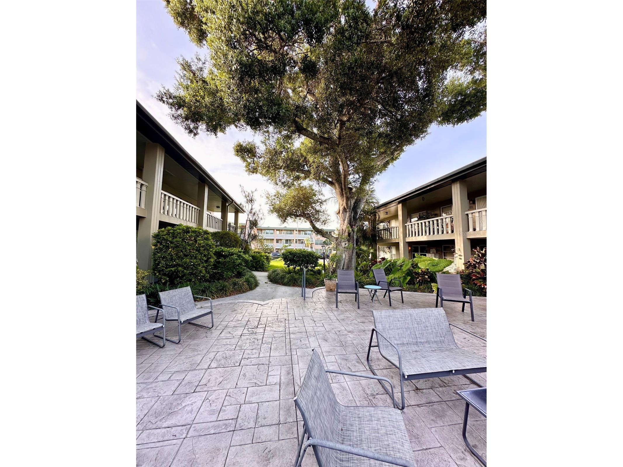 450 32nd Avenue N #107W Saint Petersburg FL 33704 TB8512980 image3