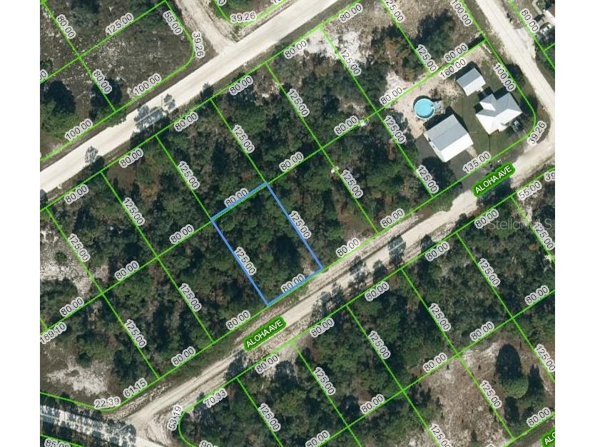 450 Aloha Avenue Lake Placid FL 33852 OM624395 image1