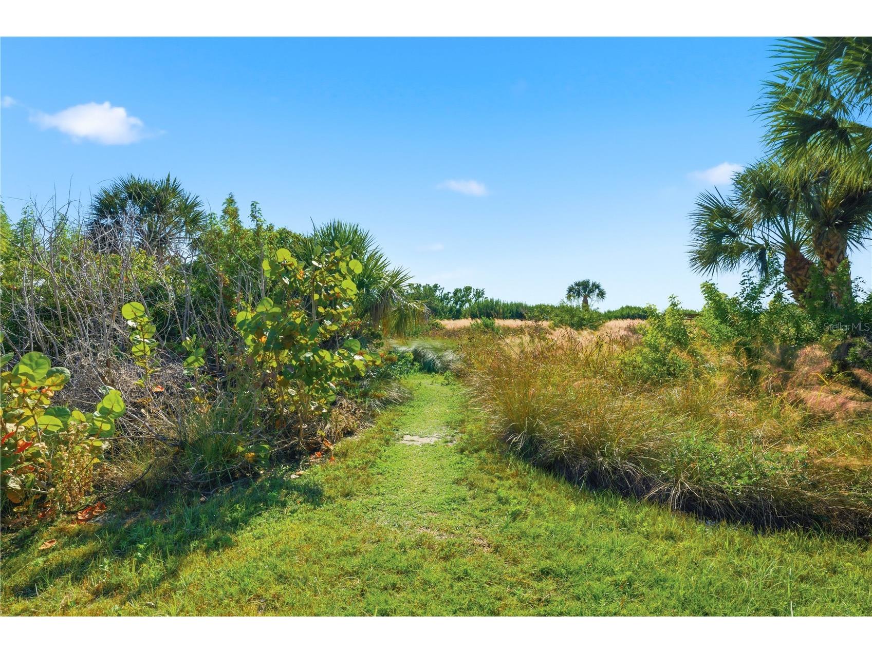 450 Beach Road #3 Sarasota FL 34242 - GULF OF AMERICA A4682792 image62