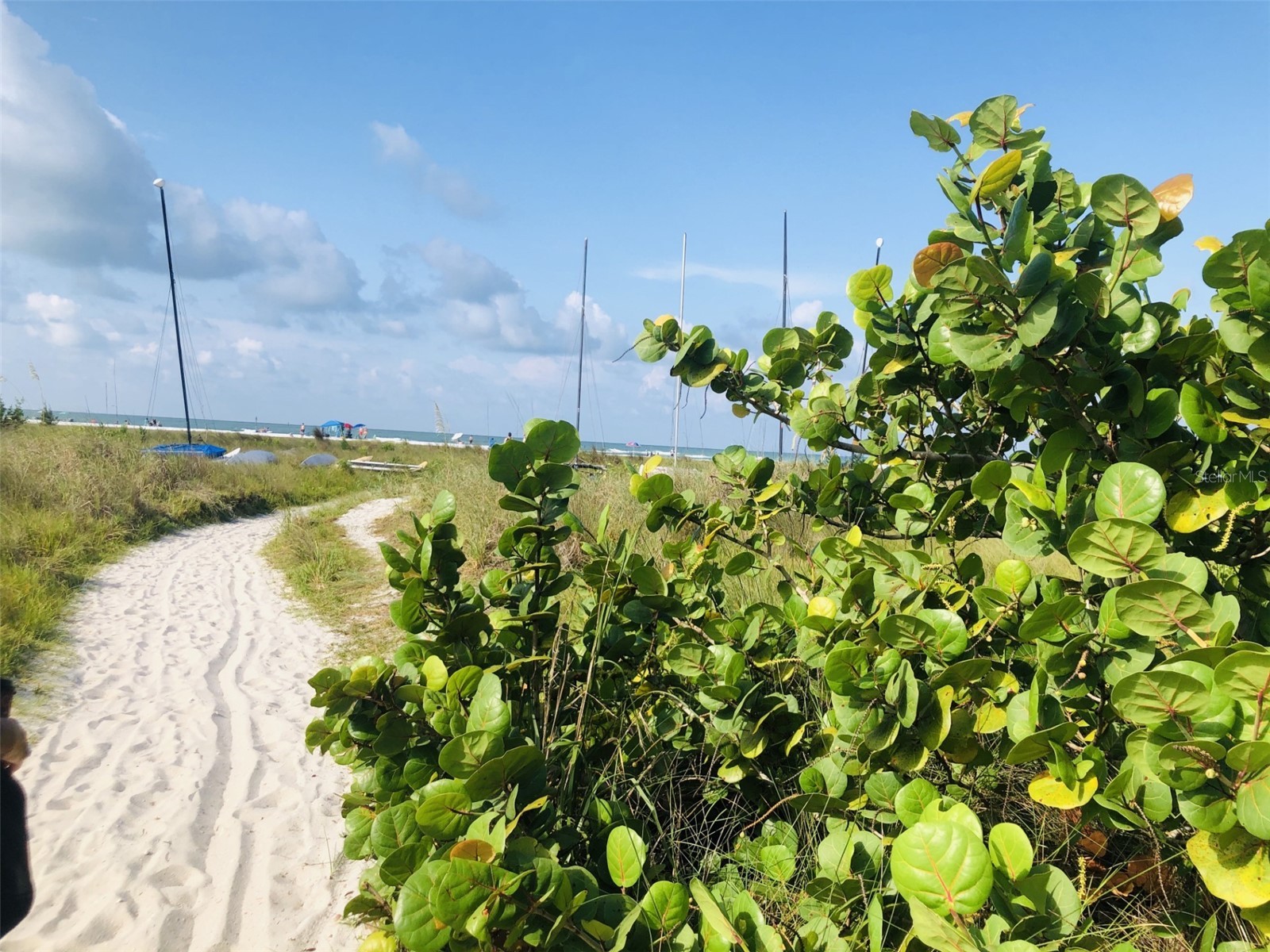 450 Beach Road #3 Sarasota FL 34242 - GULF OF AMERICA A4682792 image66