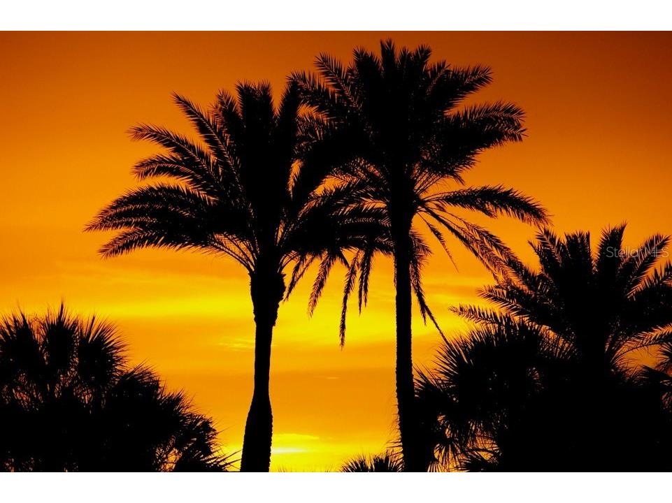 450 Beach Road #3 Sarasota FL 34242 - GULF OF AMERICA A4682792 image68