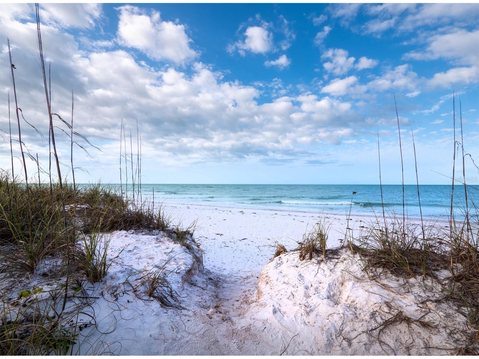 450 Firehouse Court Longboat Key FL 34228 A4691704 image22