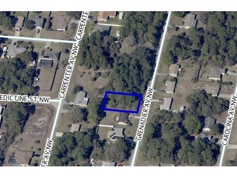 450 Grenadier Avenue NW Palm Bay FL 32907 A4557914 image1