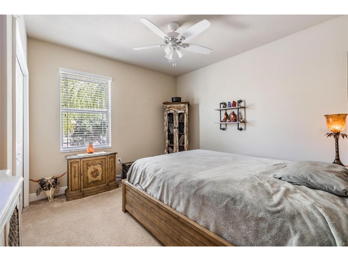 450 Harbor Springs Drive Palm Harbor FL 34683 TB8351928 image23