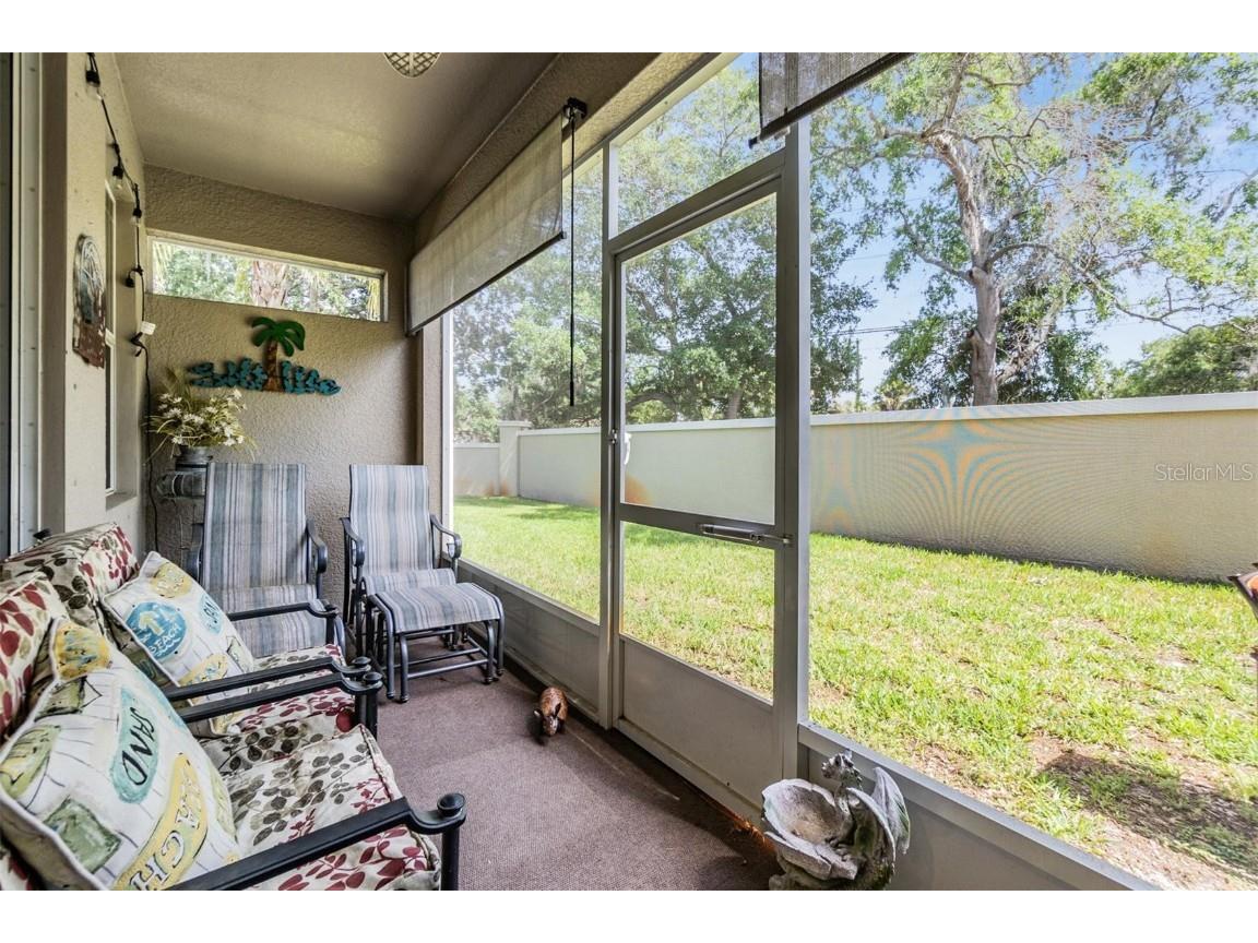 450 Harbor Springs Drive Palm Harbor FL 34683 TB8351928 image25