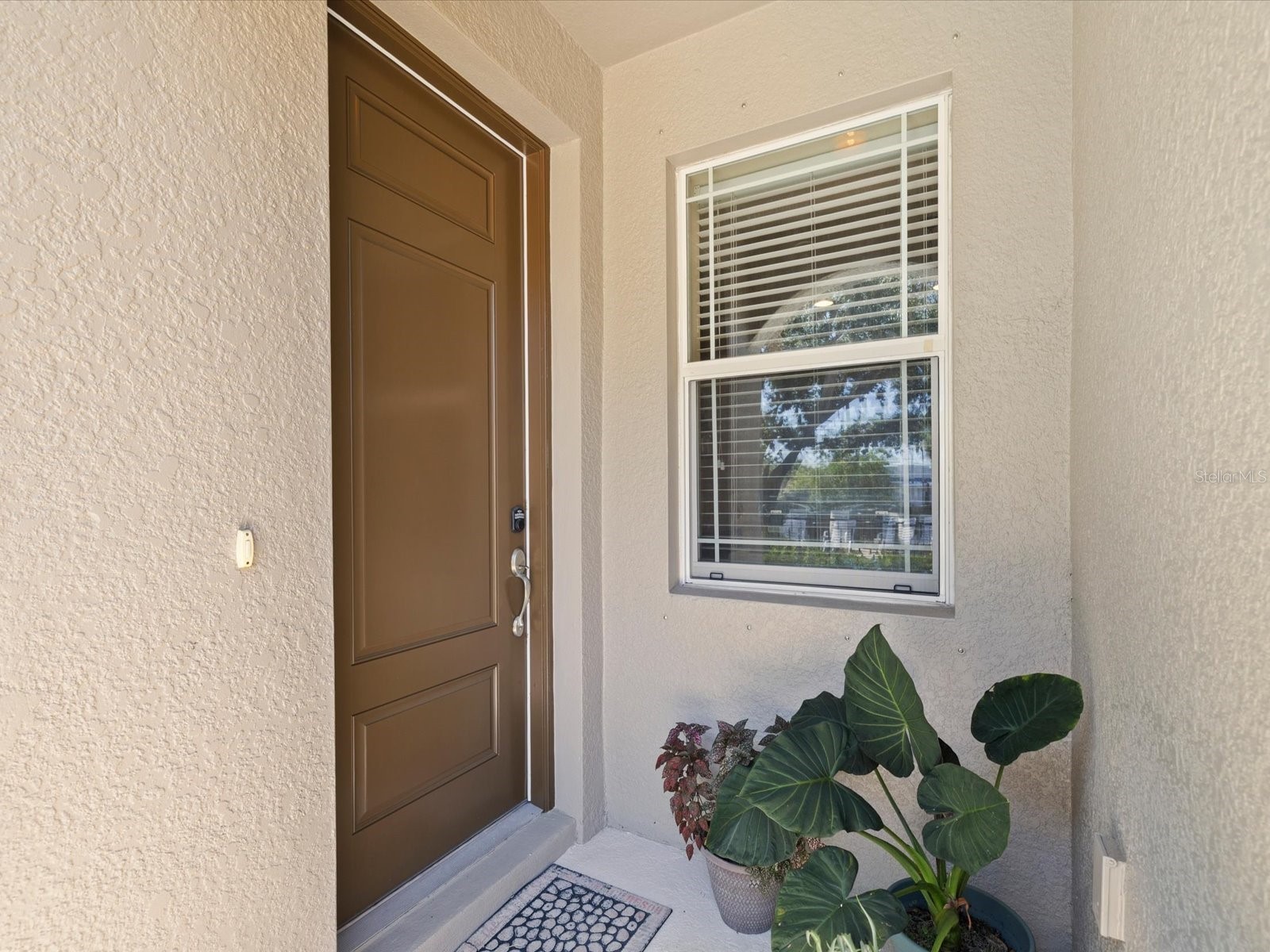 450 Harbor Springs Drive Palm Harbor FL 34683 TB8507058 image4