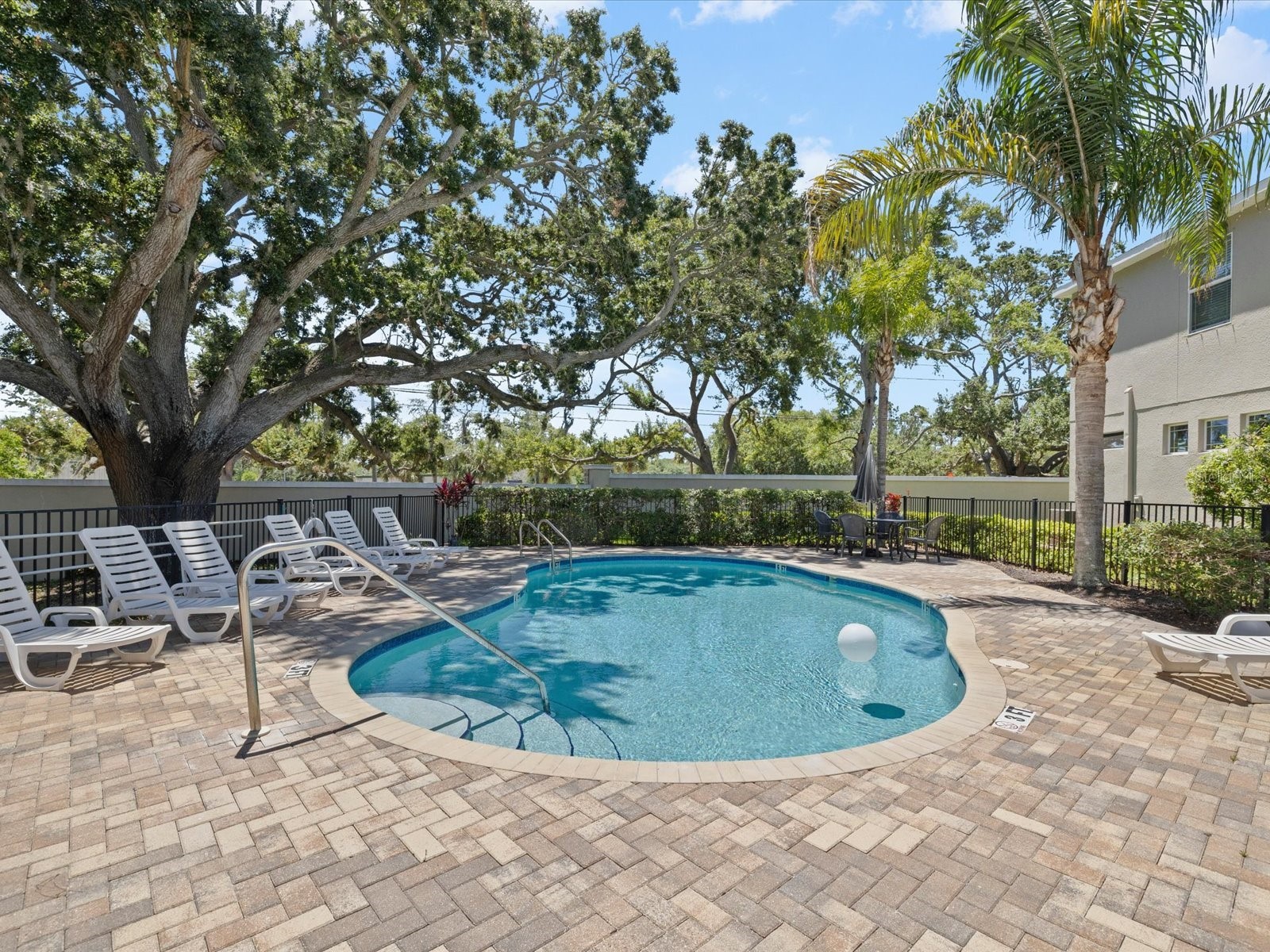 450 Harbor Springs Drive Palm Harbor FL 34683 TB8507058 image47