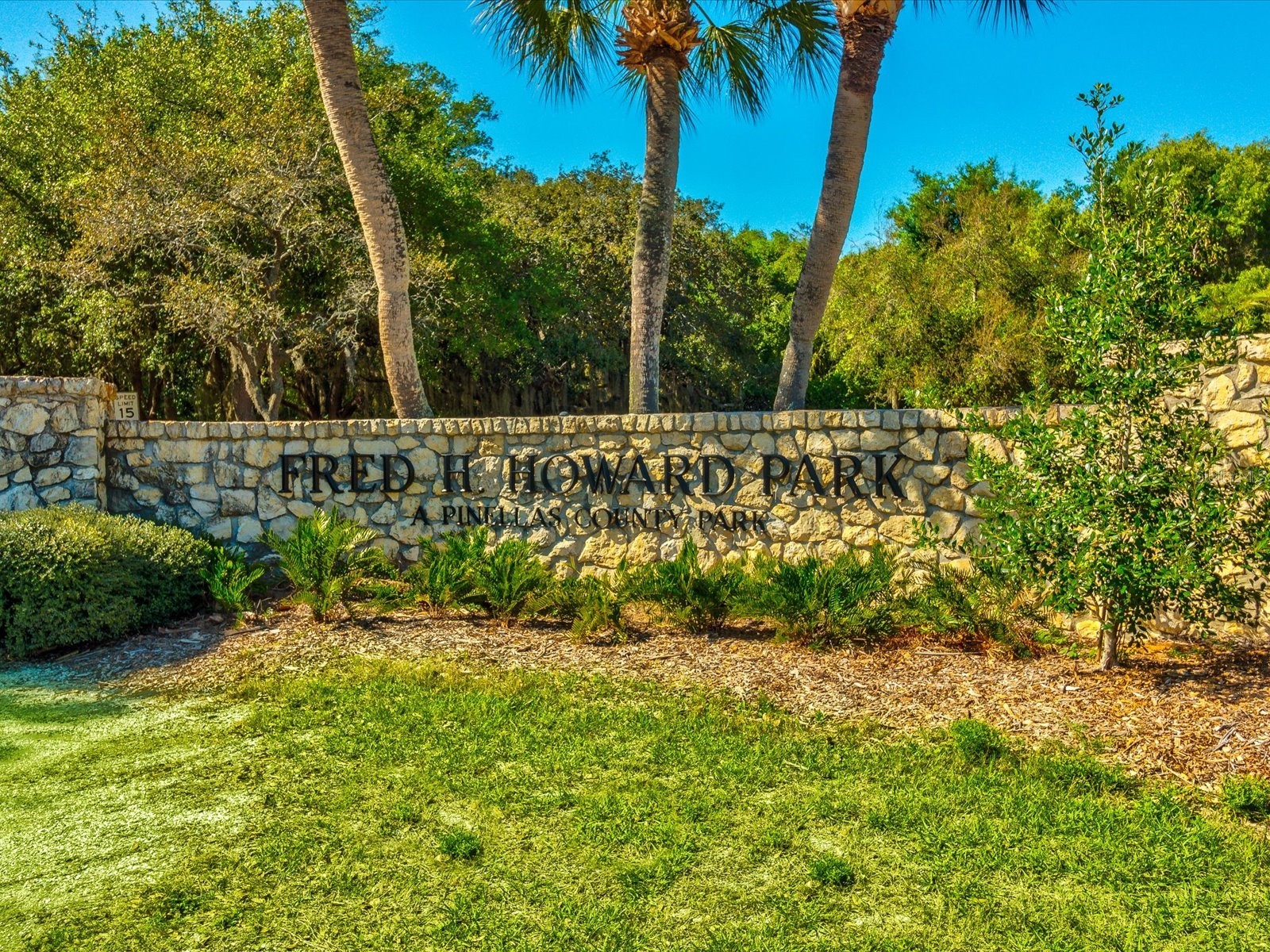 450 Harbor Springs Drive Palm Harbor FL 34683 TB8507058 image51