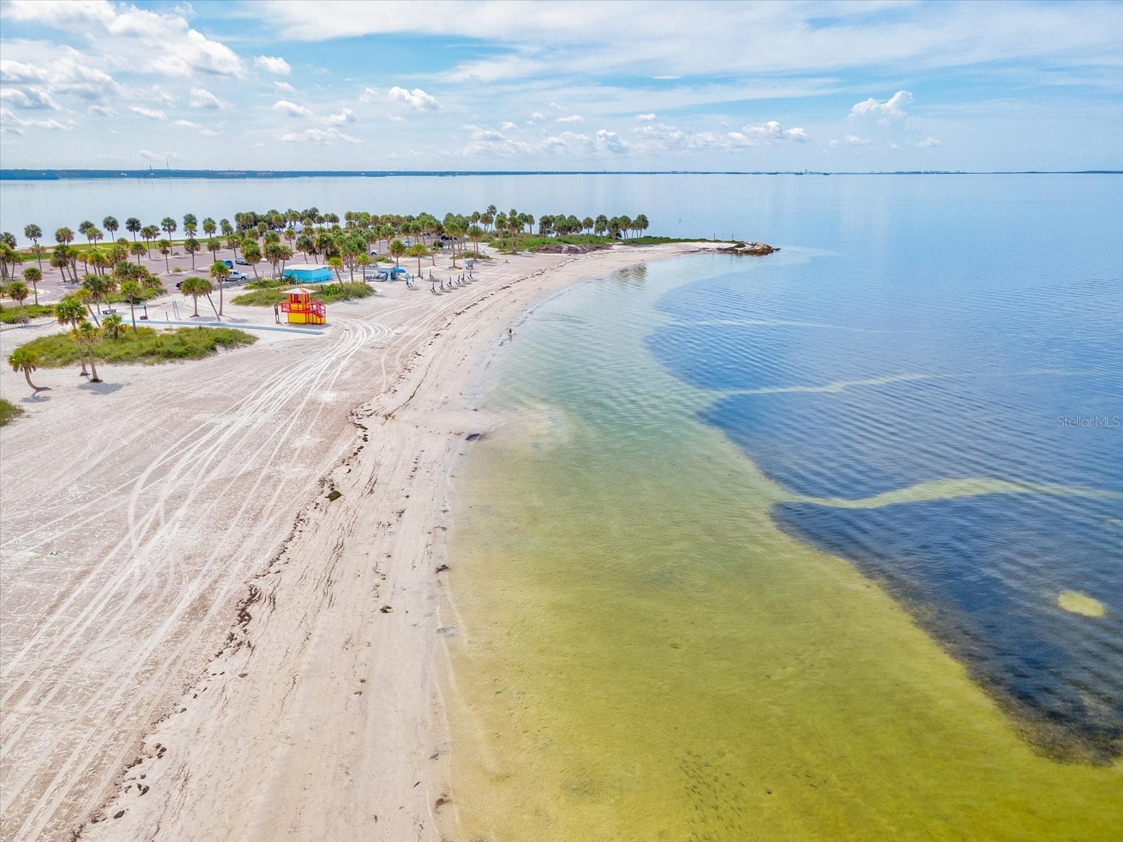 450 Harbor Springs Drive Palm Harbor FL 34683 TB8507058 image57