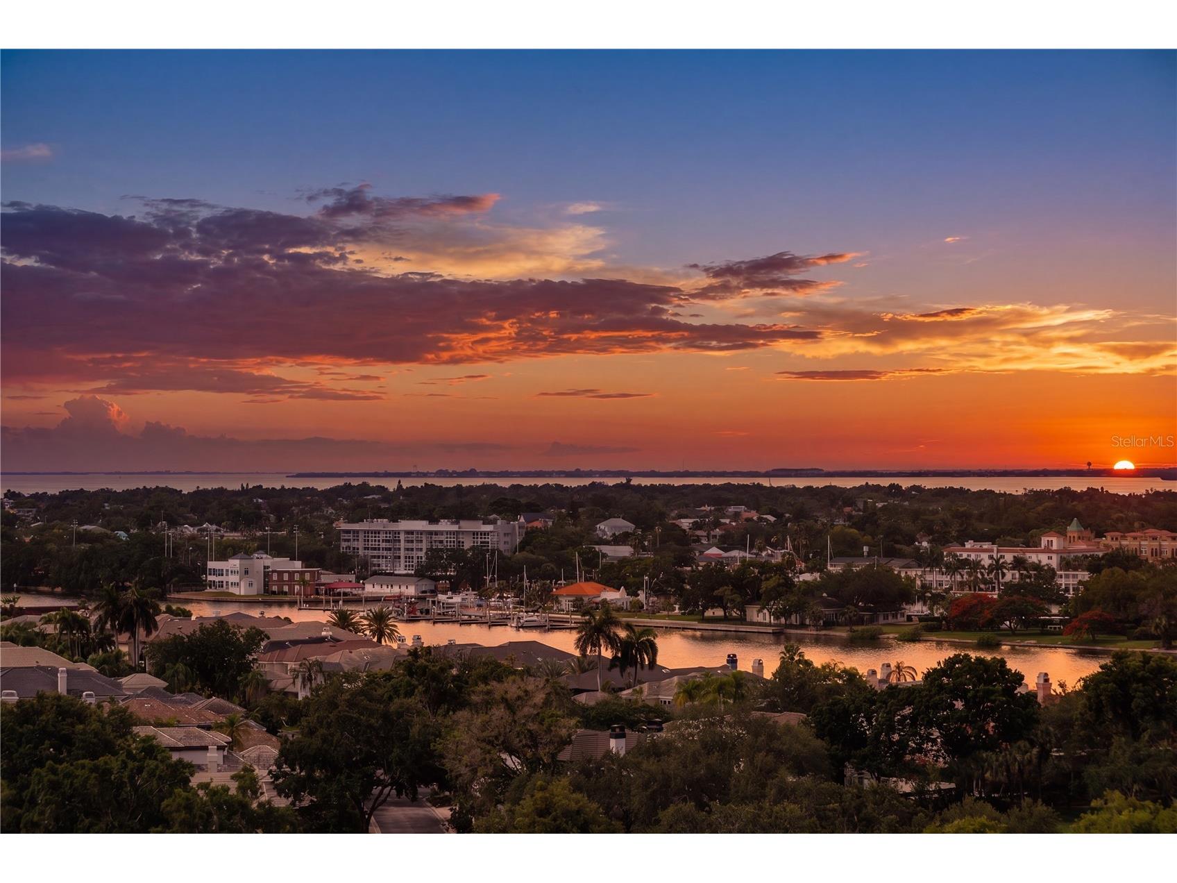 450 Knights Run Avenue #1208 Tampa FL 33602 TB8513651 image3