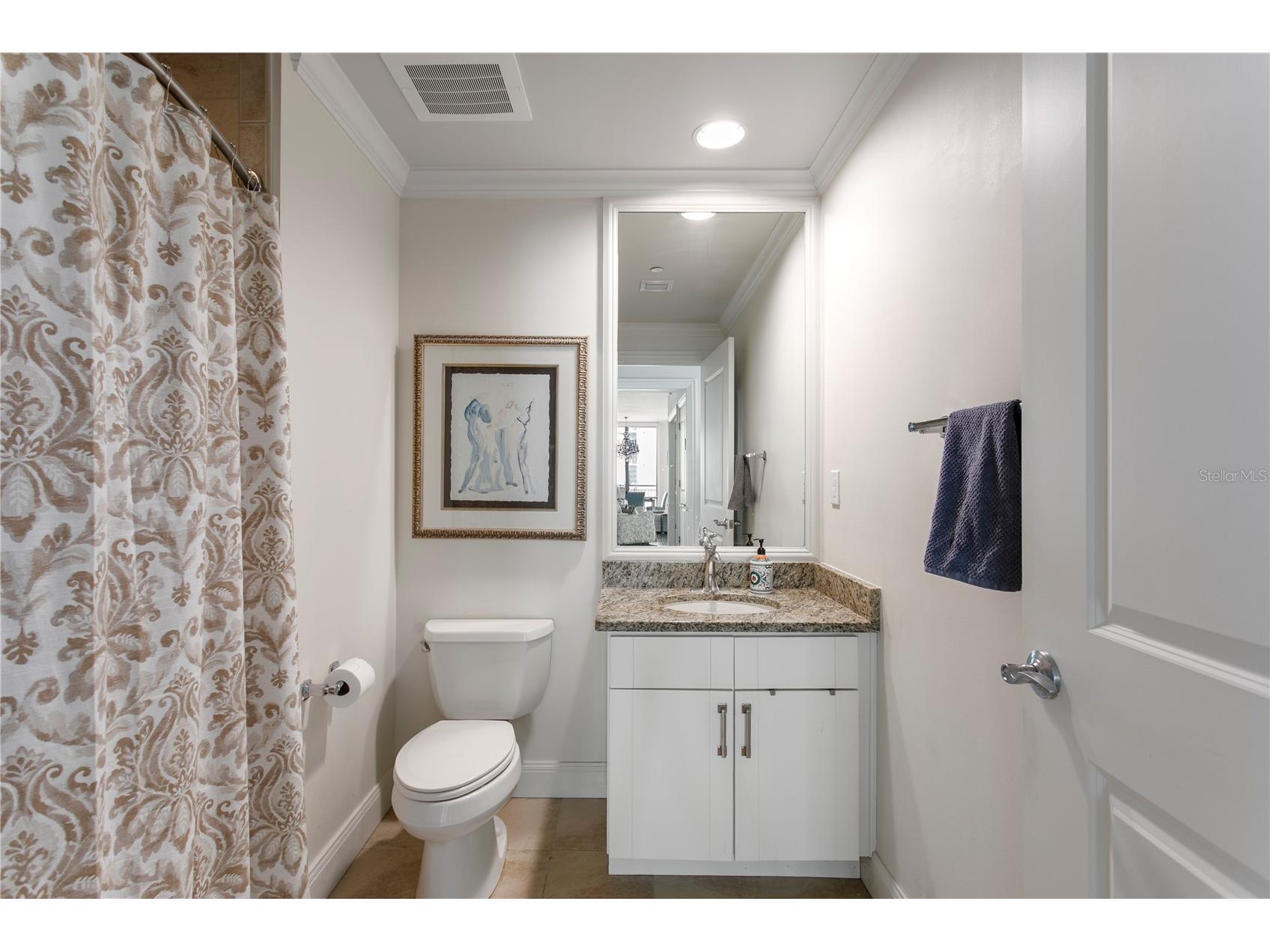450 Knights Run Avenue #1208 Tampa FL 33602 TB8513651 image51