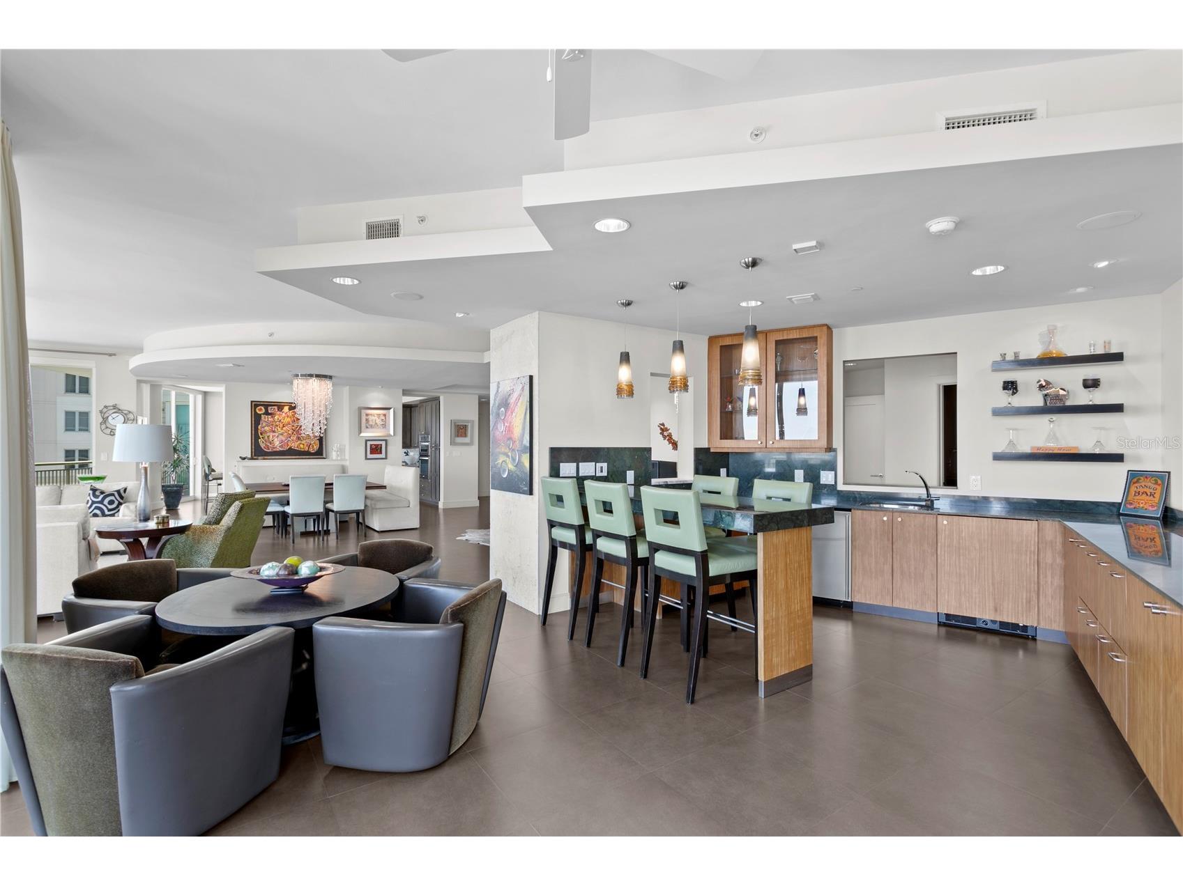 450 Knights Run Avenue #1704 Tampa FL 33602 TB8488605 image12