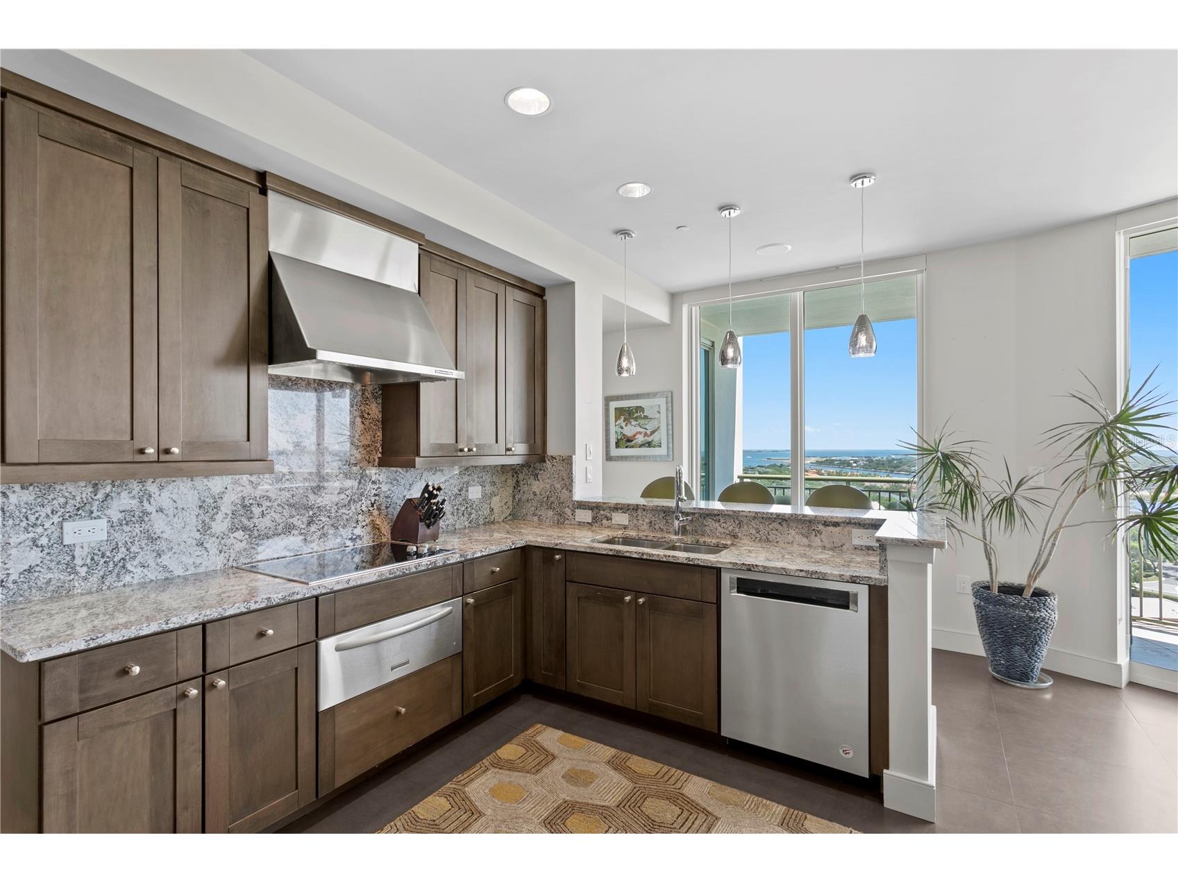 450 Knights Run Avenue #1704 Tampa FL 33602 TB8488605 image16