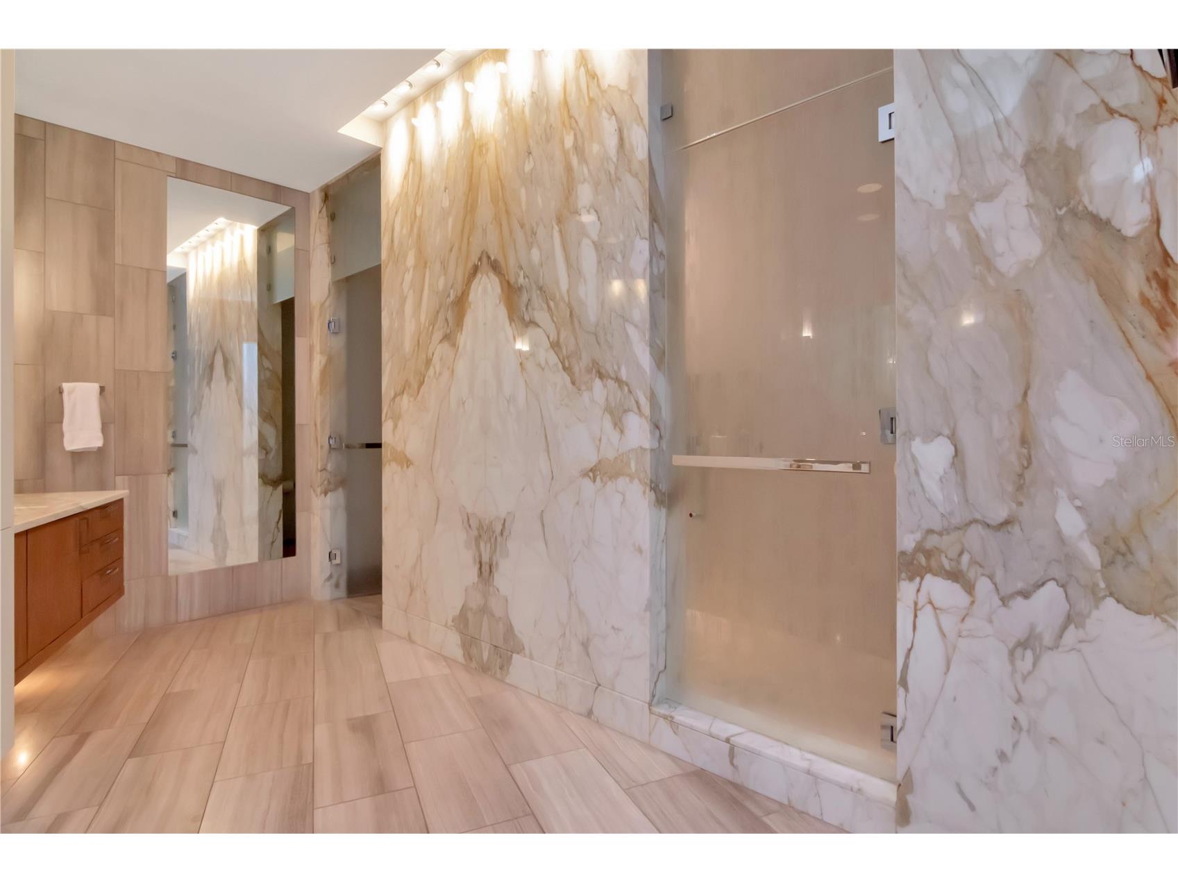 450 Knights Run Avenue #2102 Tampa FL 33602 TB8472094 image27