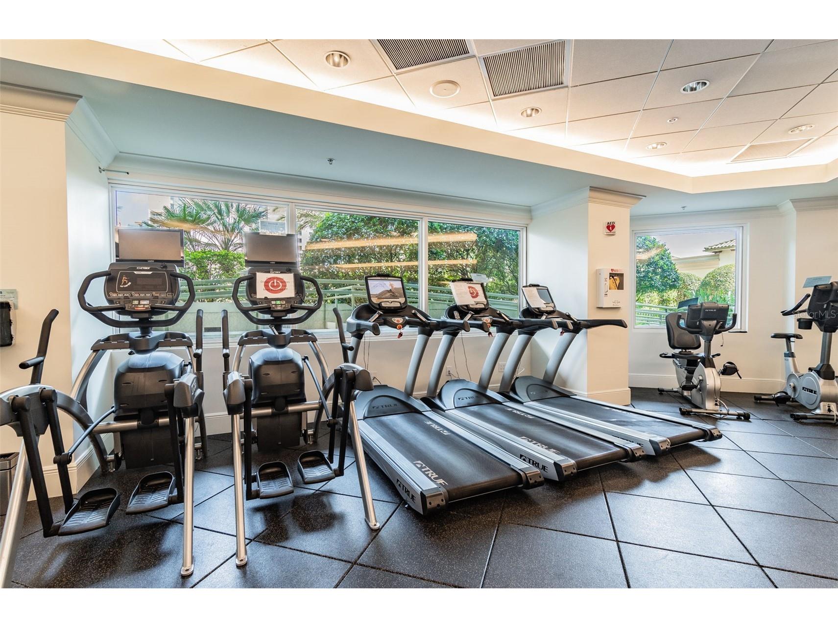 450 Knights Run Avenue #2102 Tampa FL 33602 TB8472094 image63