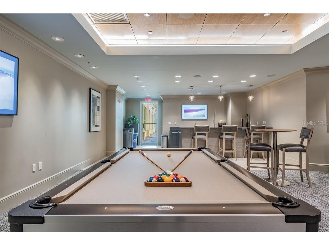 450 Knights Run Avenue #502 Tampa FL 33602 TB8417325 image47