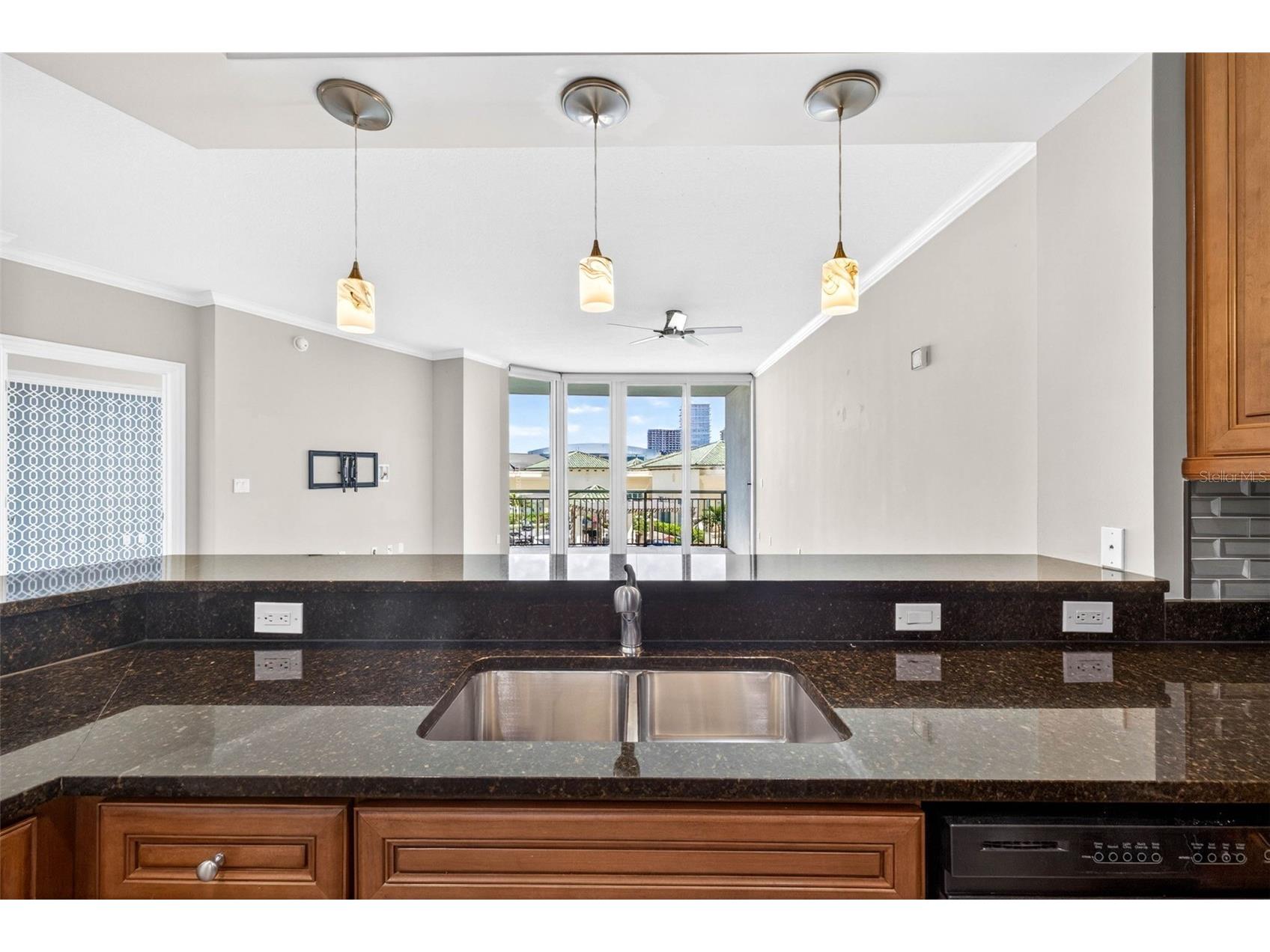 450 Knights Run Avenue #505 Tampa FL 33602 TB8511634 image10
