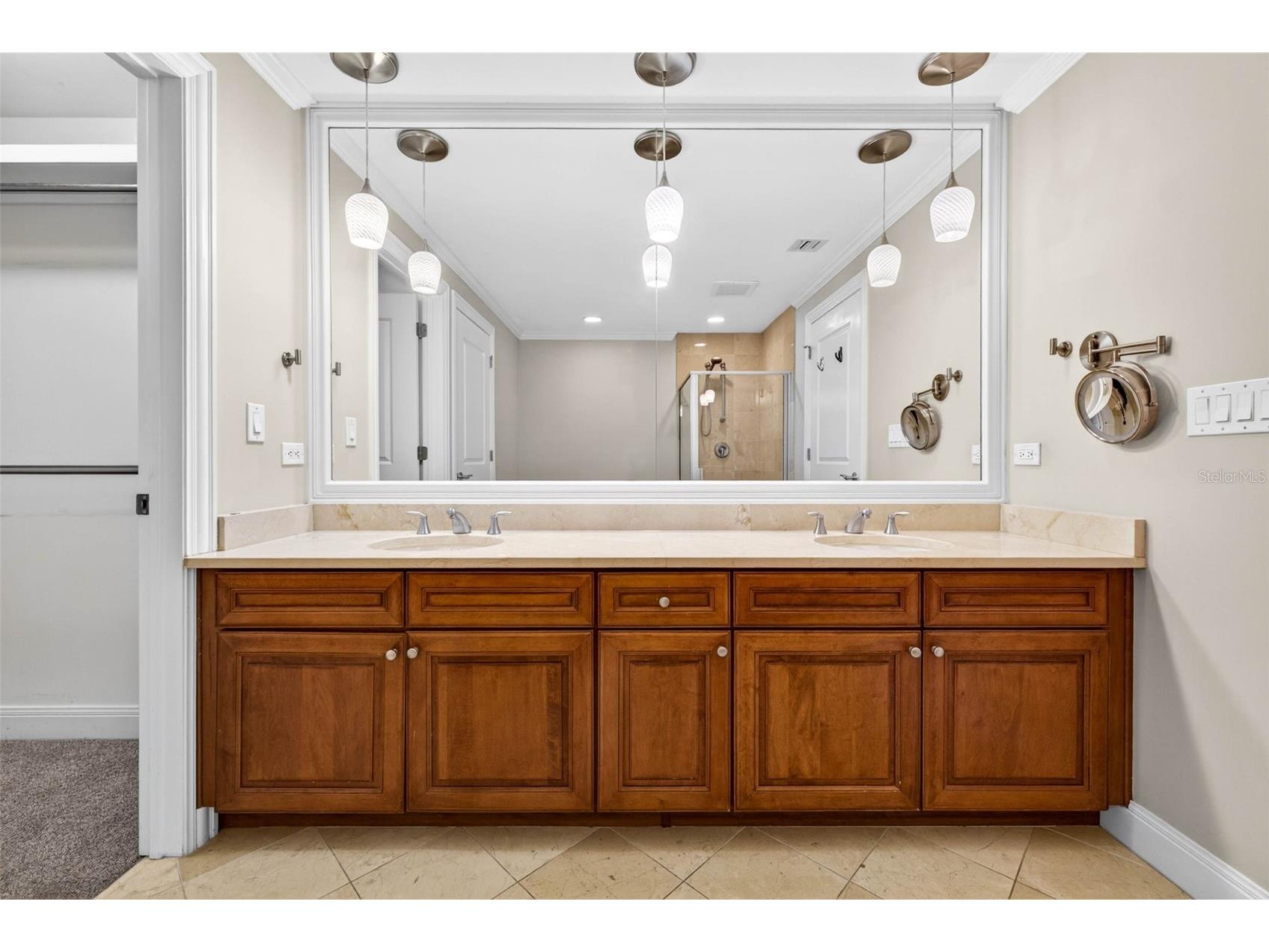450 Knights Run Avenue #505 Tampa FL 33602 TB8511634 image14