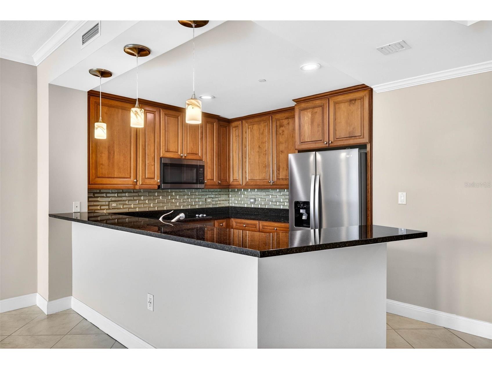 450 Knights Run Avenue #505 Tampa FL 33602 TB8511634 image7