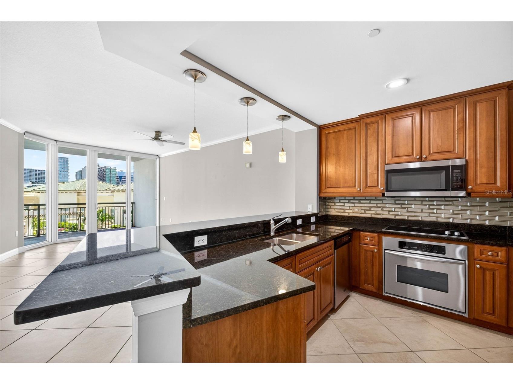 450 Knights Run Avenue #505 Tampa FL 33602 TB8511634 image8