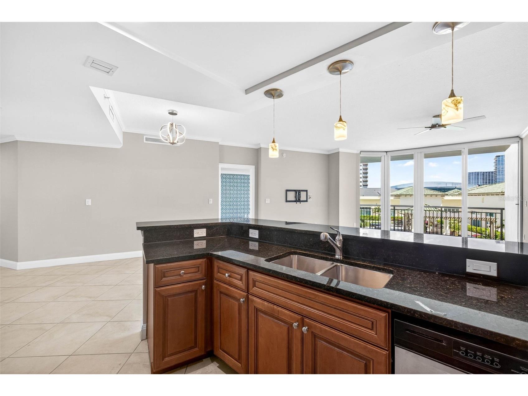 450 Knights Run Avenue #505 Tampa FL 33602 TB8511634 image9