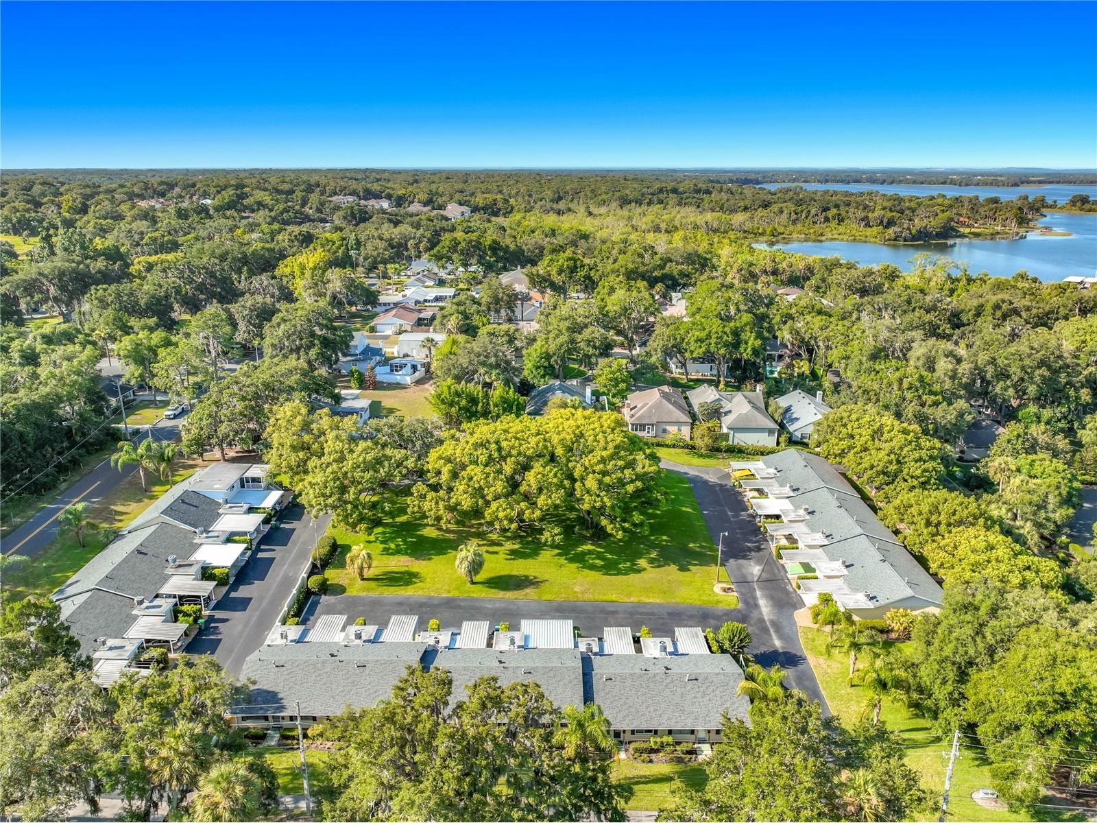 450 Liberty Avenue #3 Mount Dora FL 32757 G5114260 image38