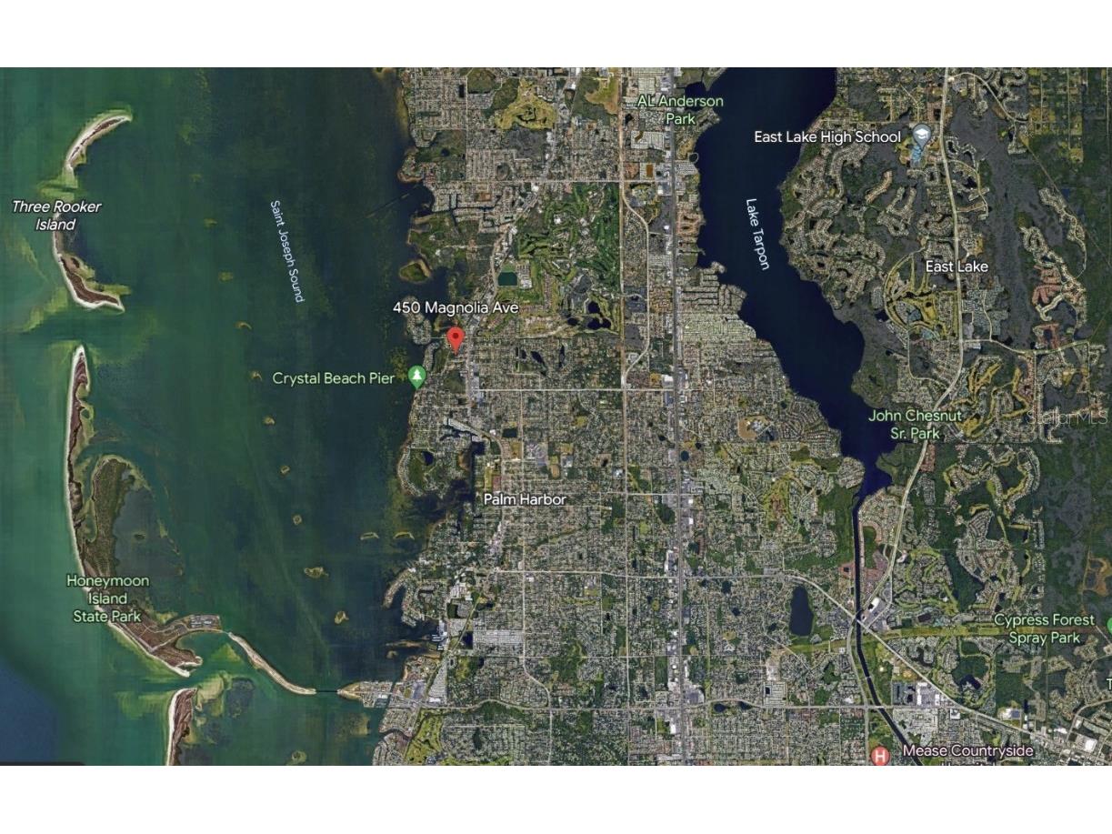 450 Magnolia Avenue Palm Harbor FL 34683 U8188208 image1