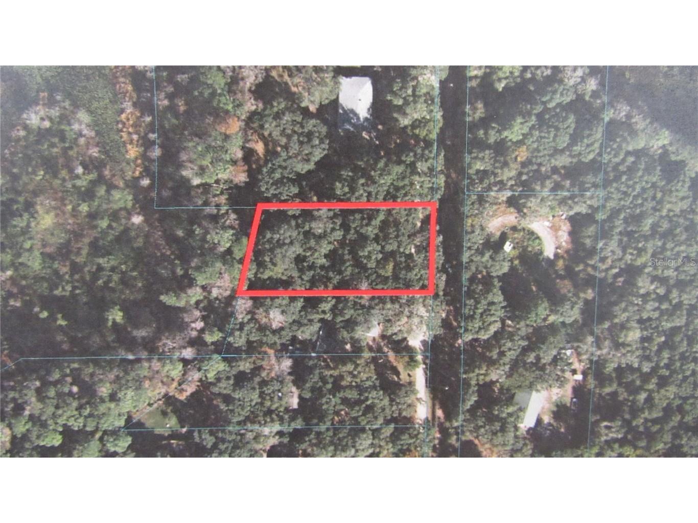 450 NE 142nd Avenue Silver Springs FL 34488 OM626492 image1