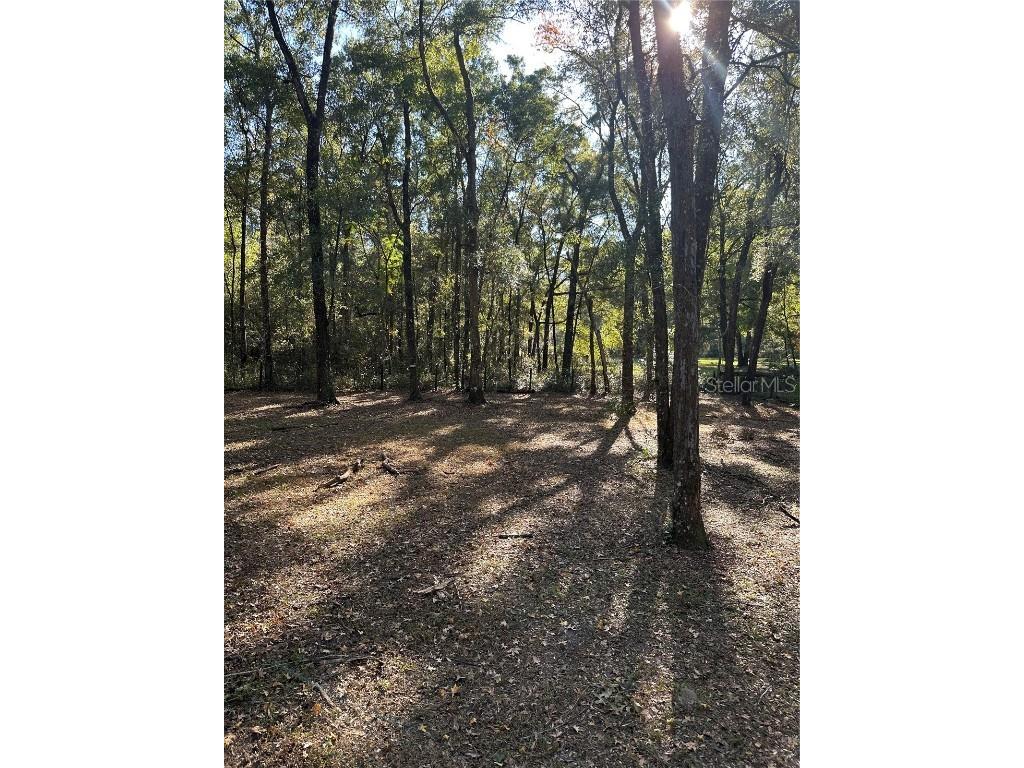 450 NW 117th Court Ocala FL 34482 OM713455 image10