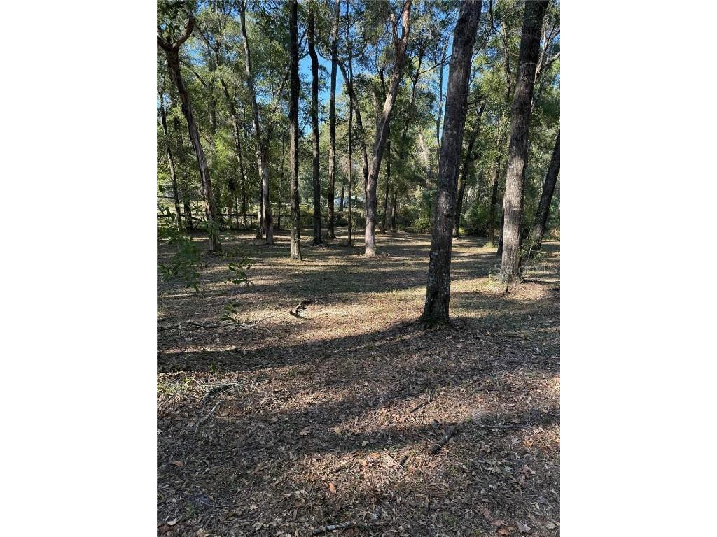 450 NW 117th Court Ocala FL 34482 OM713455 image3