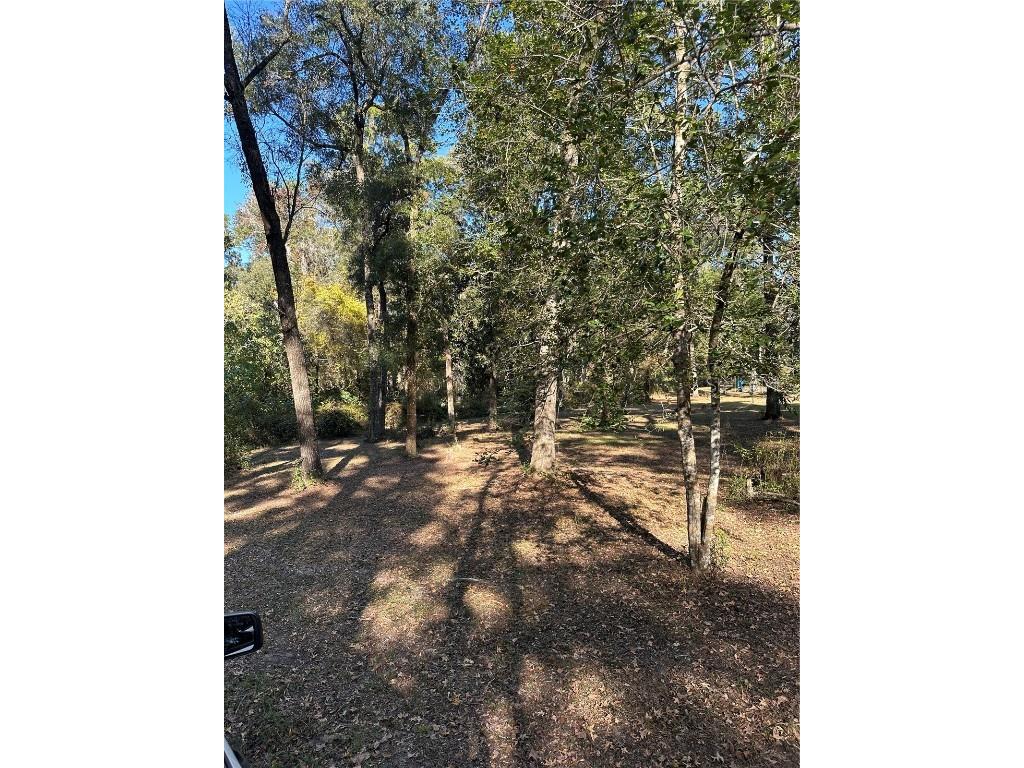450 NW 117th Court Ocala FL 34482 OM713455 image5