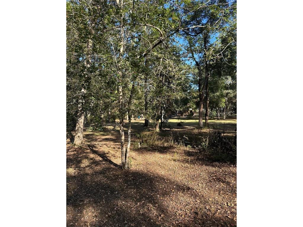 450 NW 117th Court Ocala FL 34482 OM713455 image6
