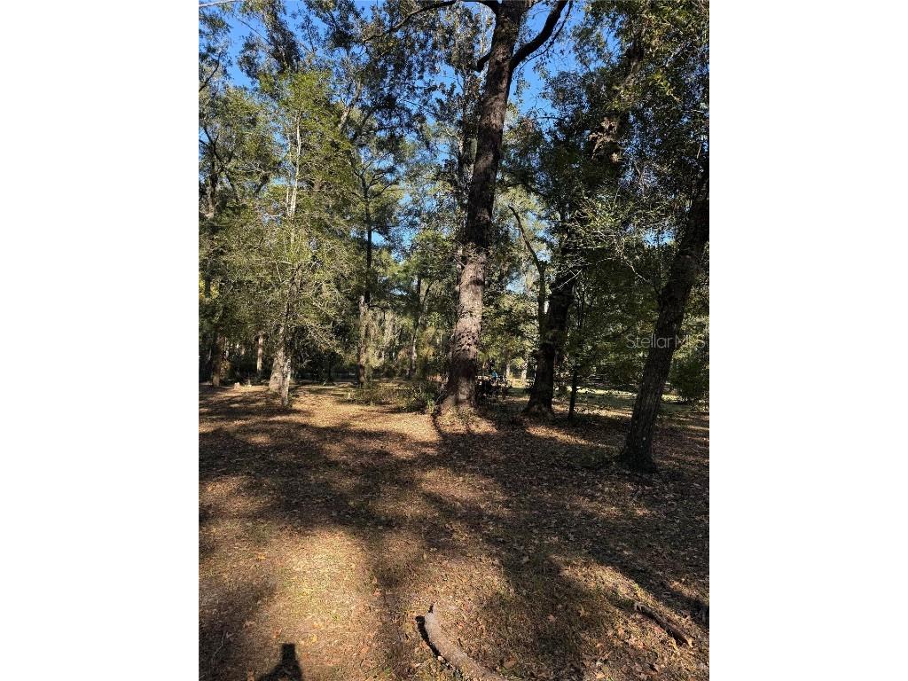 450 NW 117th Court Ocala FL 34482 OM713455 image8