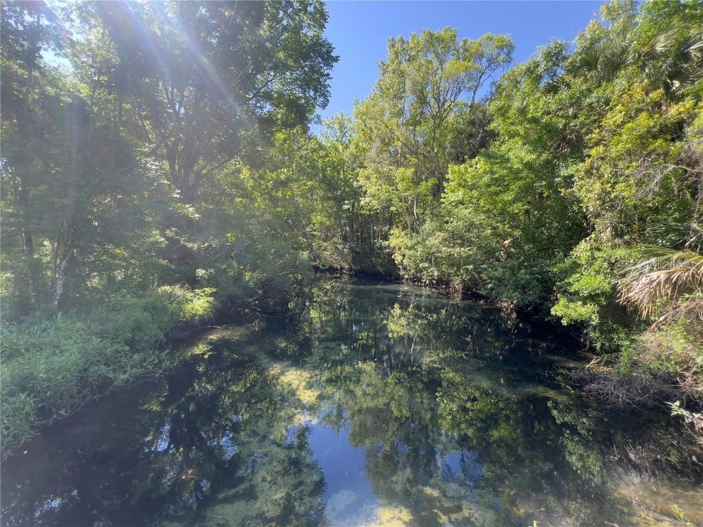 450 NW Crystal Street Crystal River FL 34428 A4676130 image4