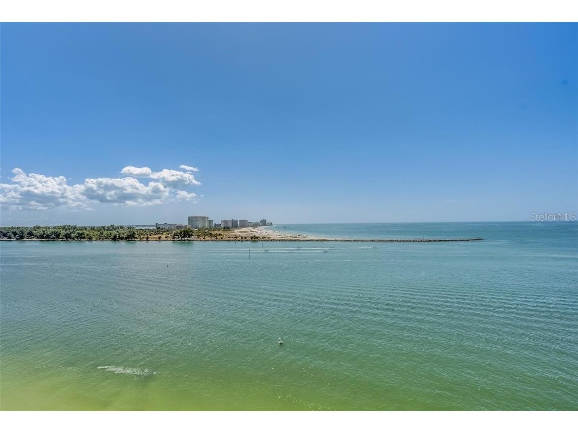 450 S Gulfview Boulevard #1107 Clearwater FL 33767 TB8423598 image39