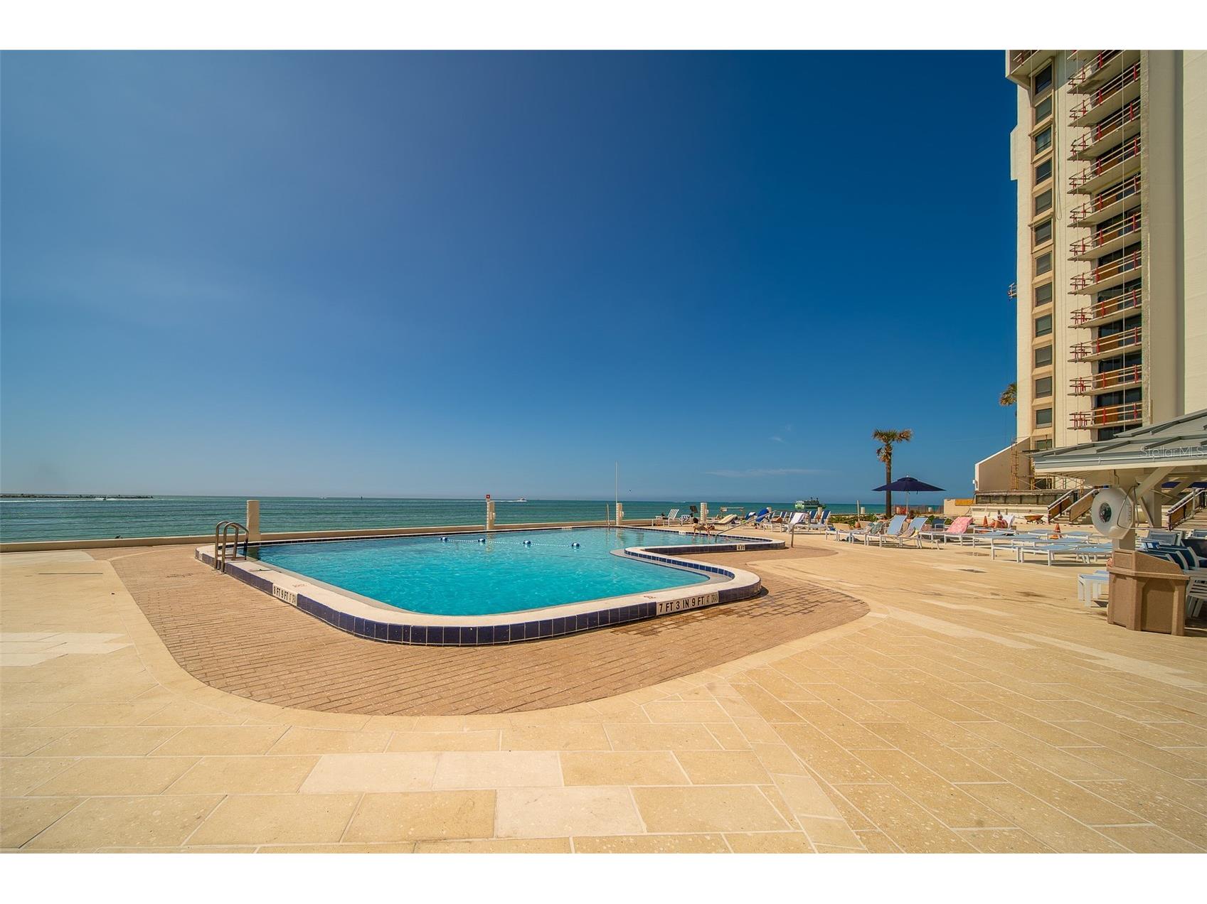 450 S Gulfview Boulevard #208 Clearwater Beach FL 33767 - GULF OF AMERICA TB8486531 image4