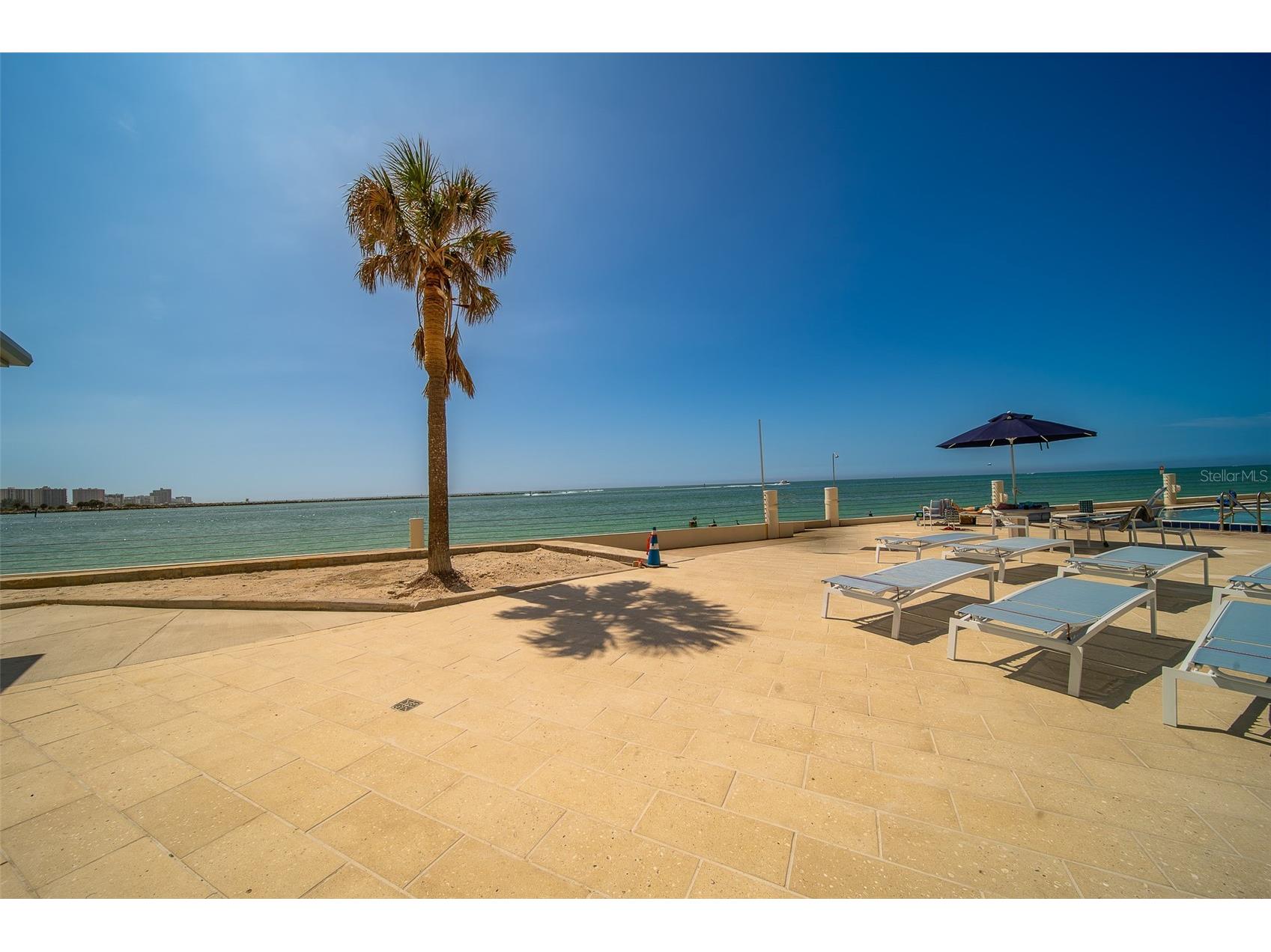 450 S Gulfview Boulevard #208 Clearwater Beach FL 33767 - GULF OF AMERICA TB8486531 image5