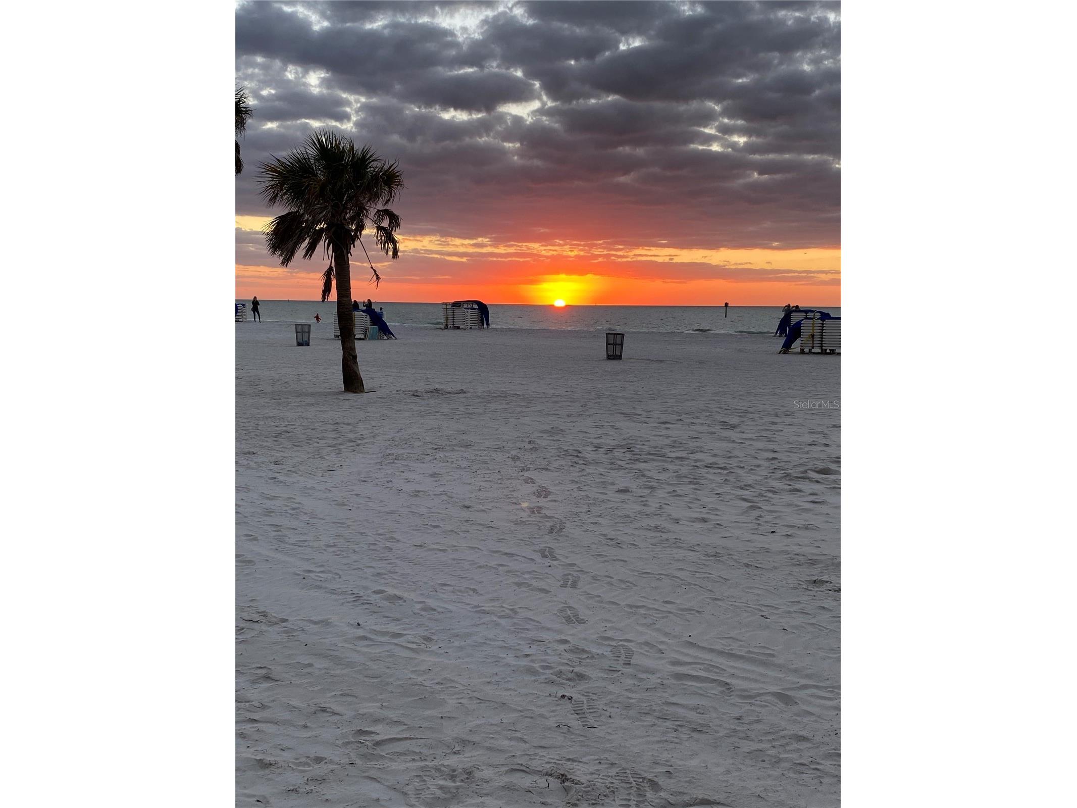 450 S Gulfview Boulevard #605 Clearwater Beach FL 33767 TB8438347 image19