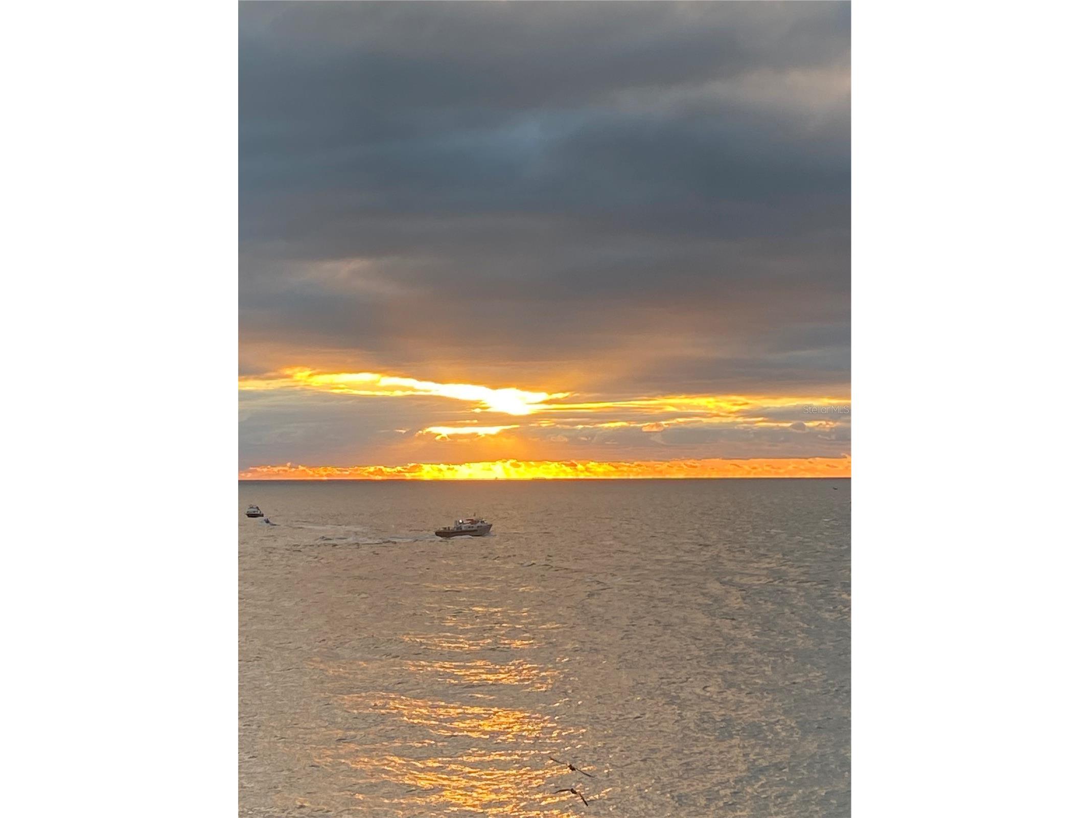 450 S Gulfview Boulevard #605 Clearwater Beach FL 33767 TB8438347 image21