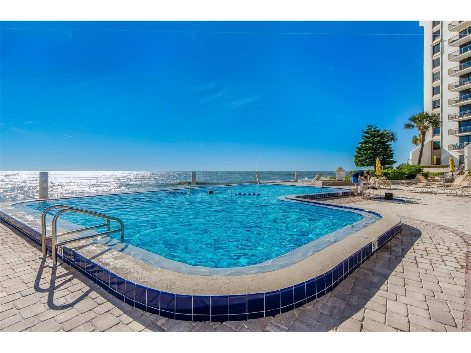 450 S Gulfview Boulevard #708 Clearwater Beach FL 33767 TB8459317 image39