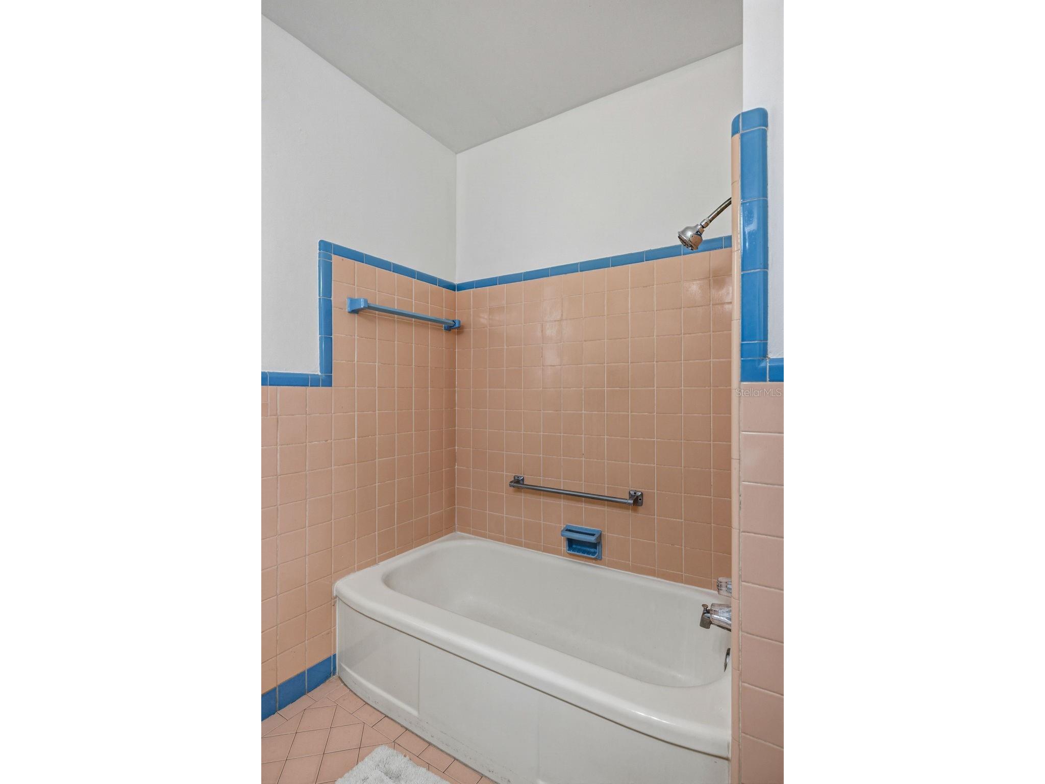 450 San Salvador Drive Dunedin FL 34698 TB8481913 image19