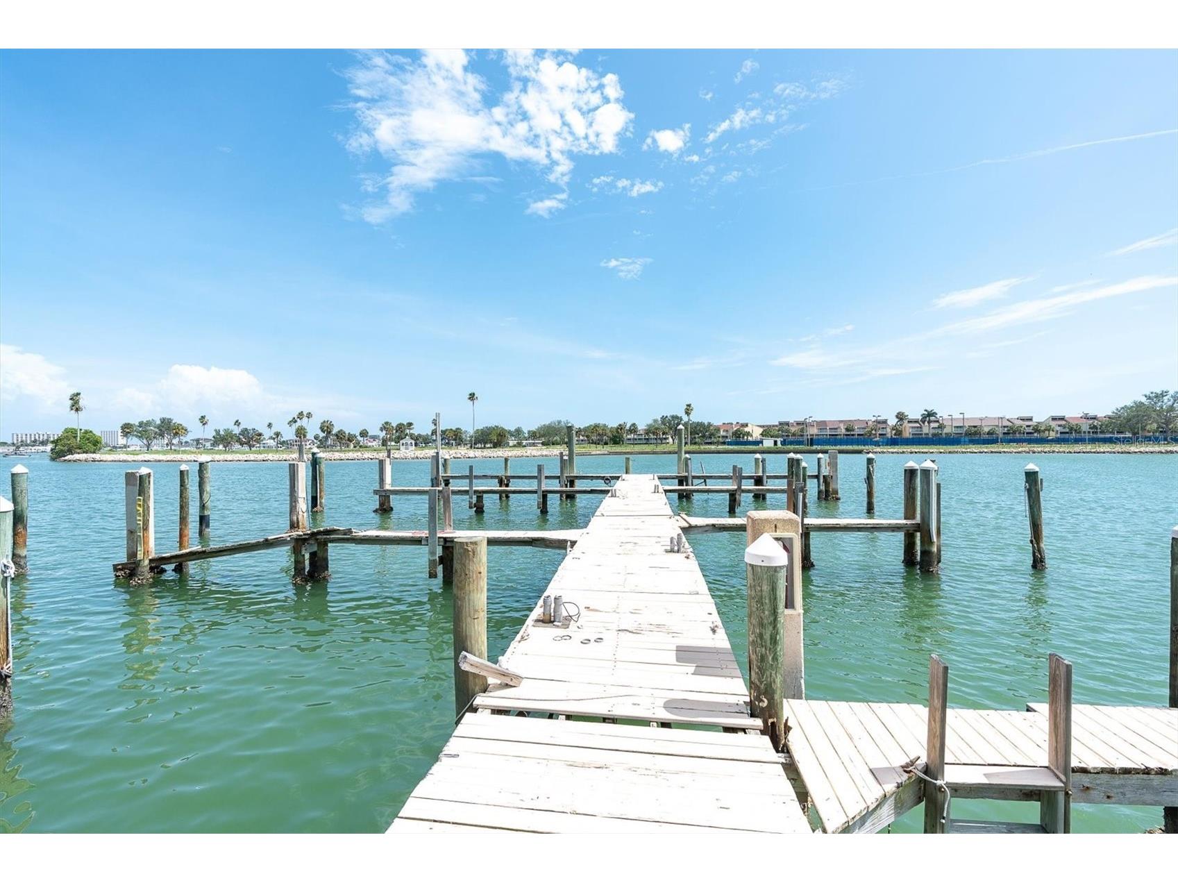 450 Treasure Island Causeway #102 Treasure Island FL 33706 - BOCA SEIGA BAY TB8492122 image34