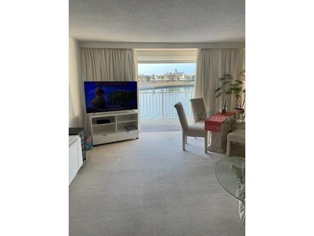 450 Treasure Island Causeway #310 Treasure Island FL 33706 - BOCA CIEGA BAY TB8458569 image24