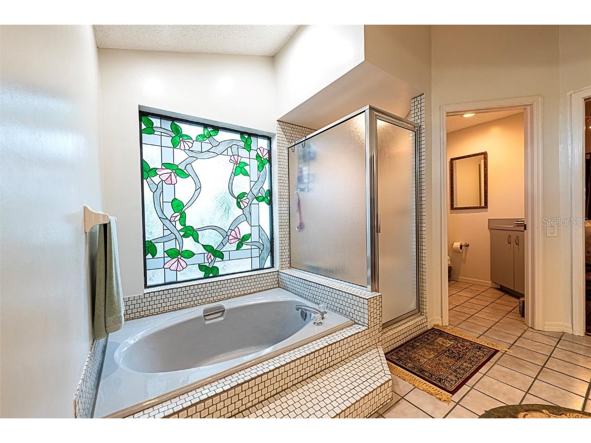 450 Waterford Circle E Tarpon Springs FL 34688 TB8452903 image18