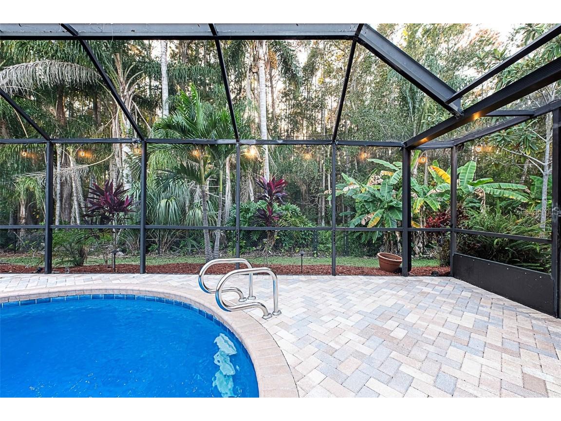 450 Waterford Circle E Tarpon Springs FL 34688 TB8452903 image22