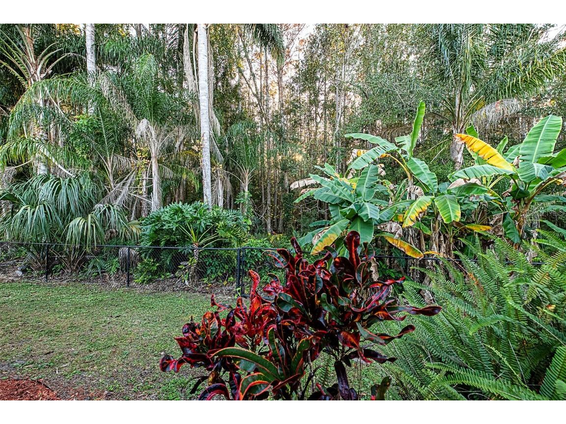 450 Waterford Circle E Tarpon Springs FL 34688 TB8452903 image23