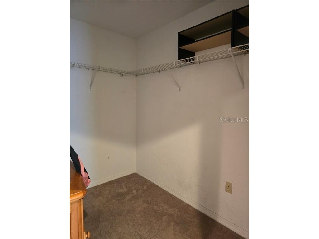 4500 51st Court N Saint Petersburg FL 33714 TB8422707 image18