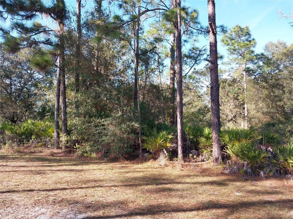 4500 Alba Drive Indian Lake Estates FL 33855 K4902368 image1