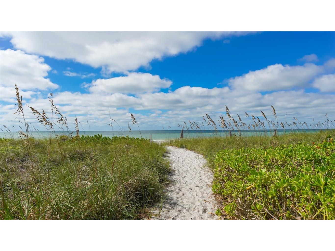 4500 Gulf Of Mexico Drive #202 Longboat Key FL 34228 - SARASOTA BAY A4664363 image44